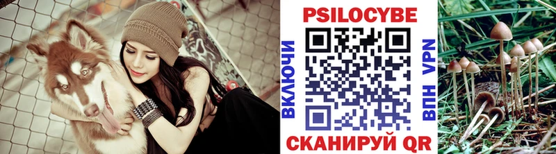 Псилоцибиновые грибы Psilocybine cubensis  что такое наркотик  Якутск 